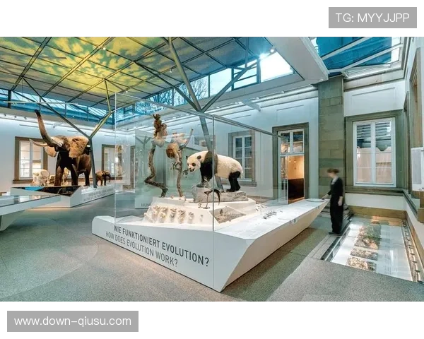 斯图加特俱乐部历史博物馆教育项目开展